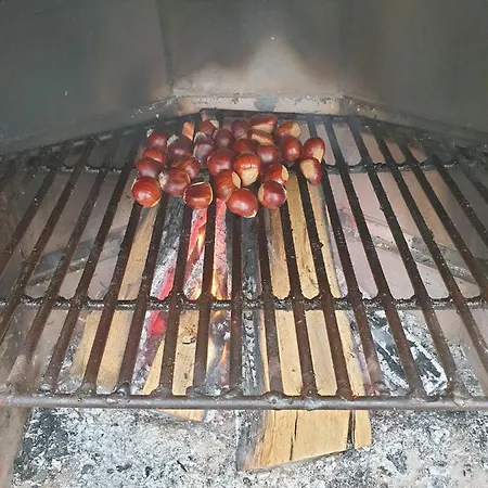 Casa La Ti Maria La Viuda * Riego de Lomba